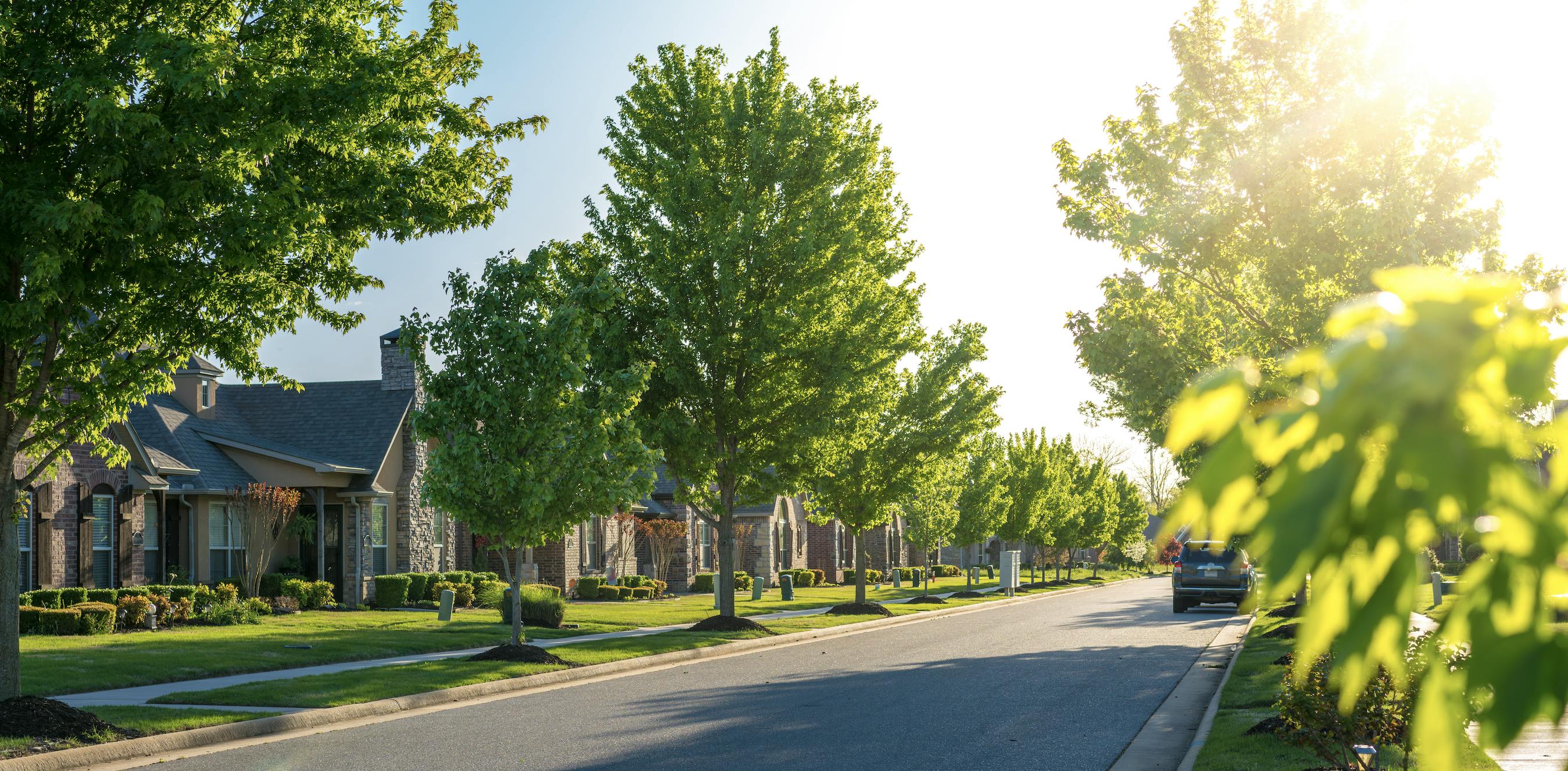 Sunny neighborhood with homes and lush green trees