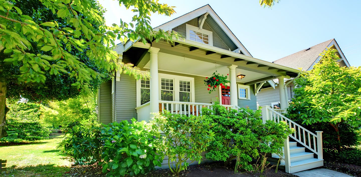 Greenery surrounds a green home with porch