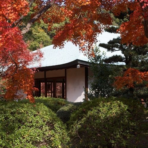 landscaping trends 3 Image Alt Text