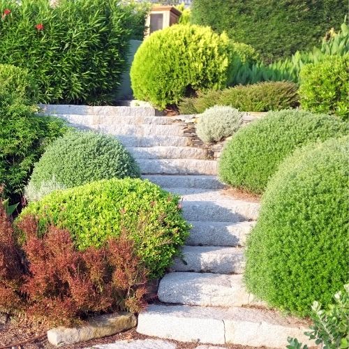 landscaping trends 2 Image Alt Text