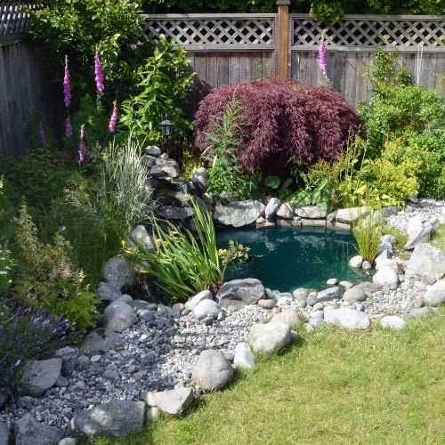 landscaping trends 1 Image Alt Text