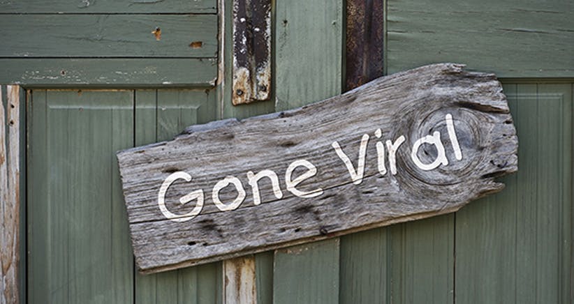 Gone Viral wood sign