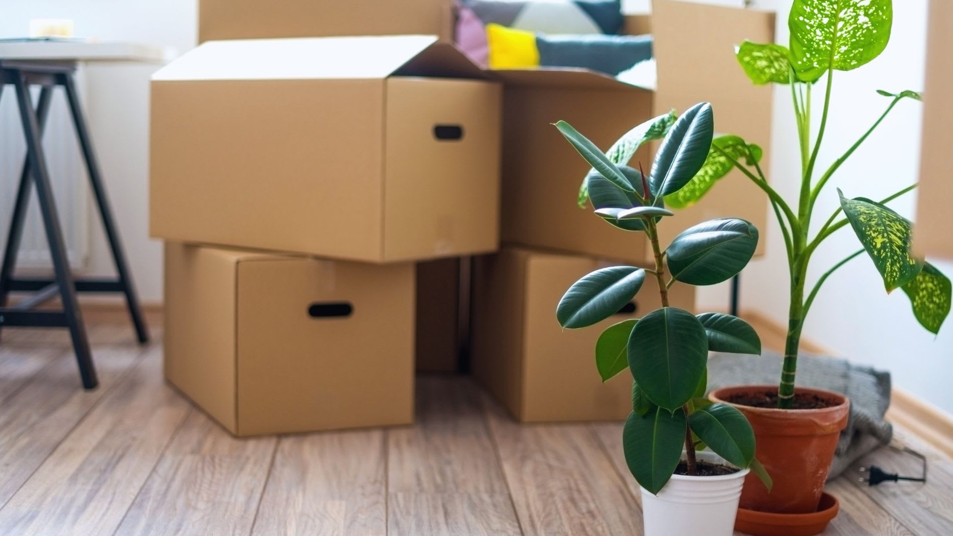 Moving to a new state