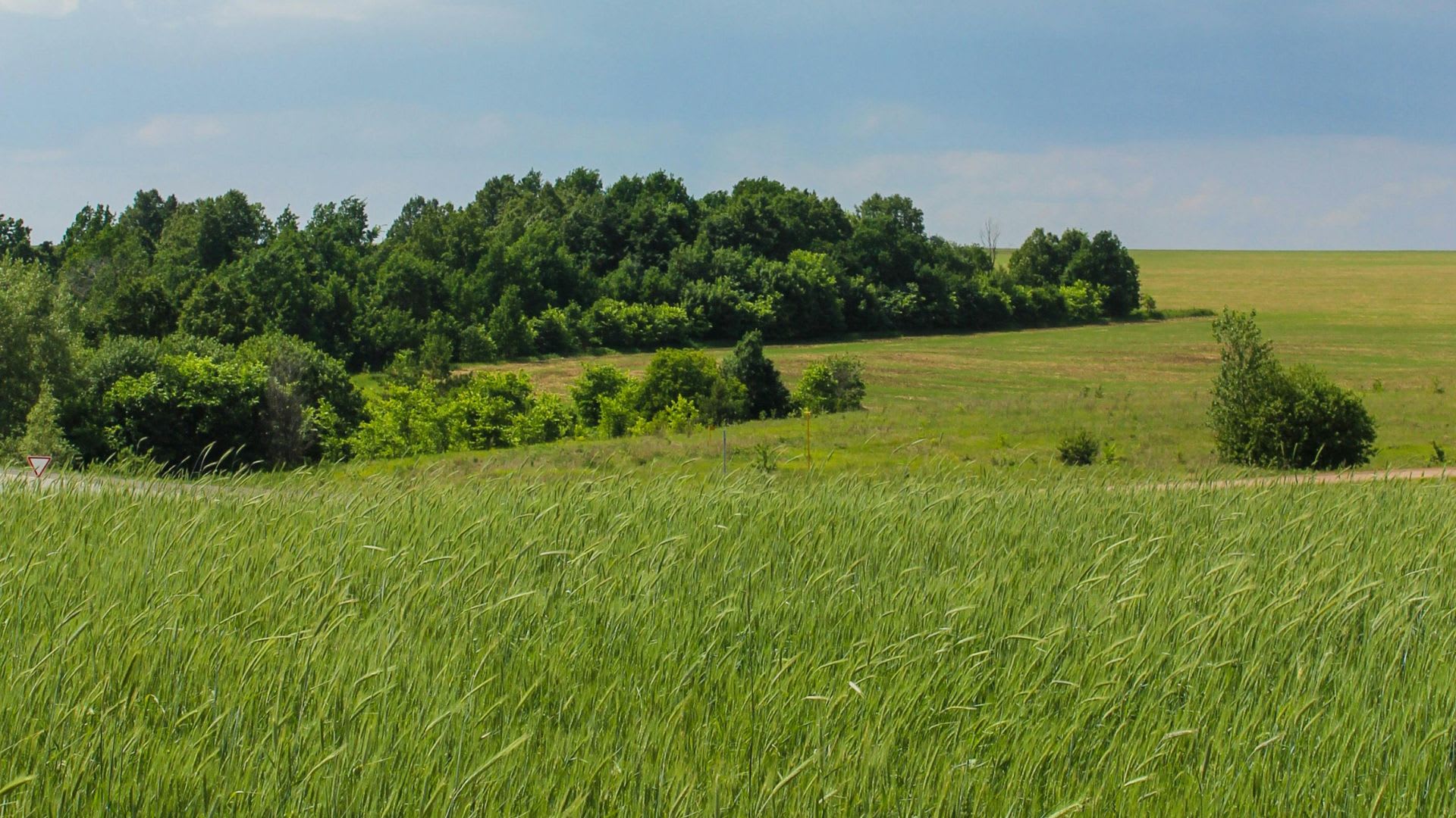 The Cheapest Land to Buy in Canada