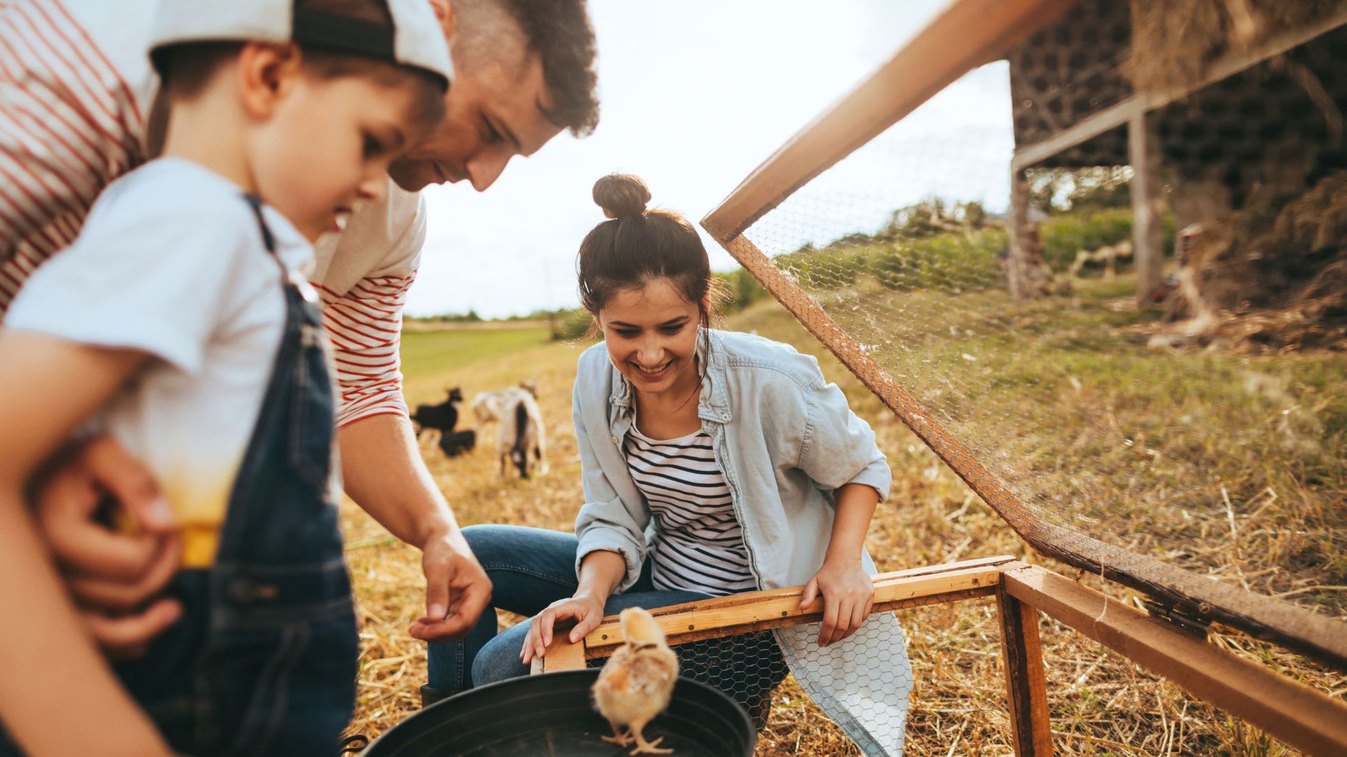 What Is Considered a Hobby Farm in Real Estate?