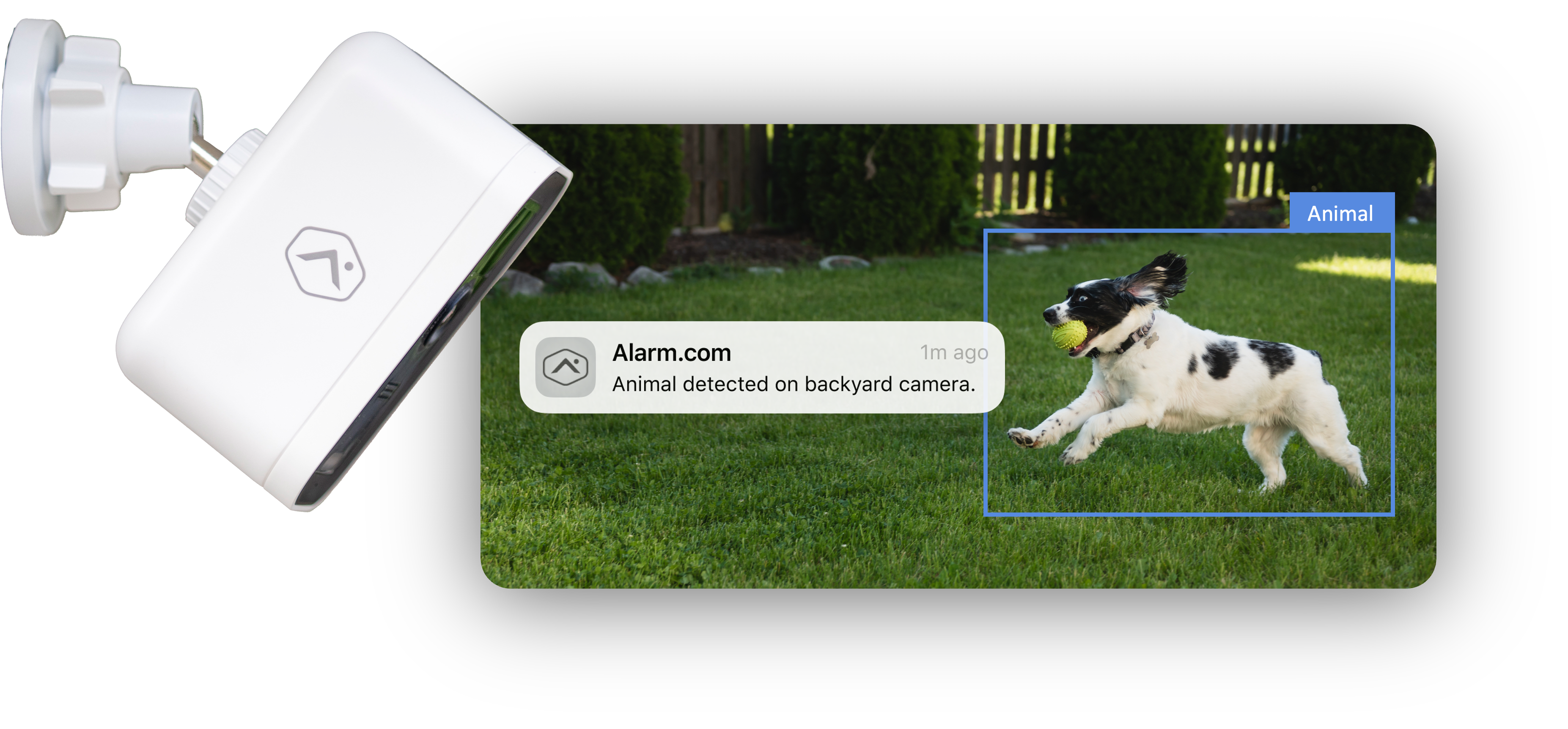Alarm.com 3 (1)