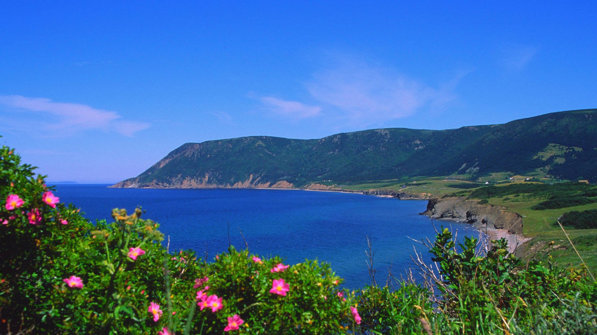 Buying Land in Nova Scotia? Here’s What You Should Know