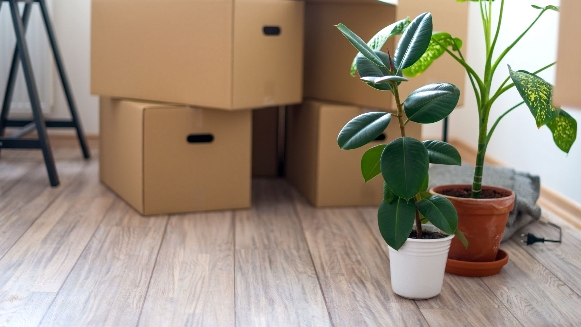 REMAX® Moving Hub