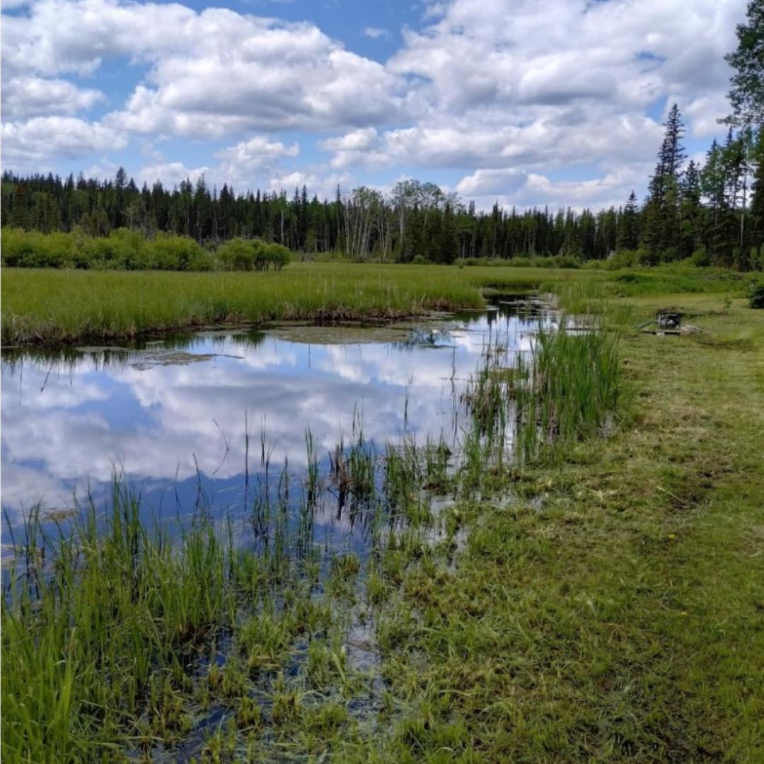 Sunshine Coast – Powell Lake (Powell River) – 2 (2)