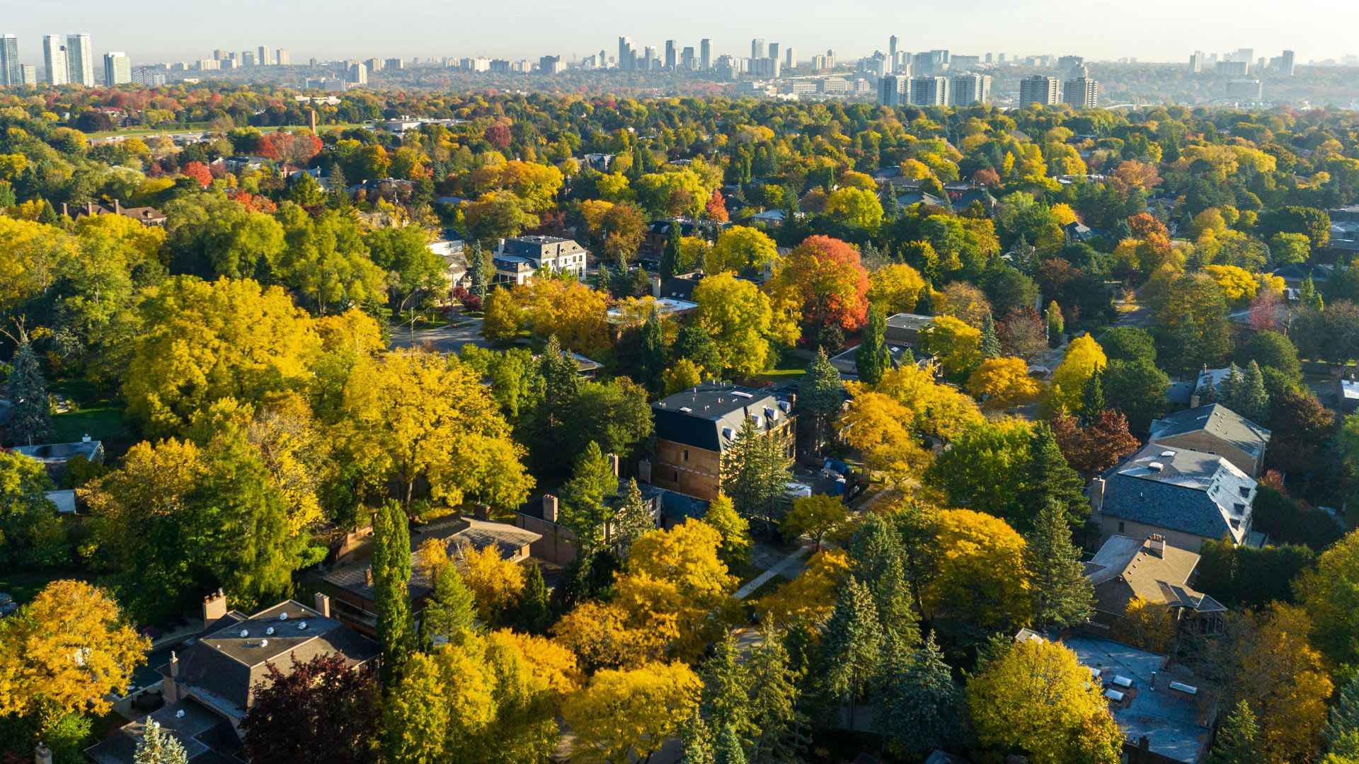 Top GTA Detached Home Neighbourhoods of 2026
