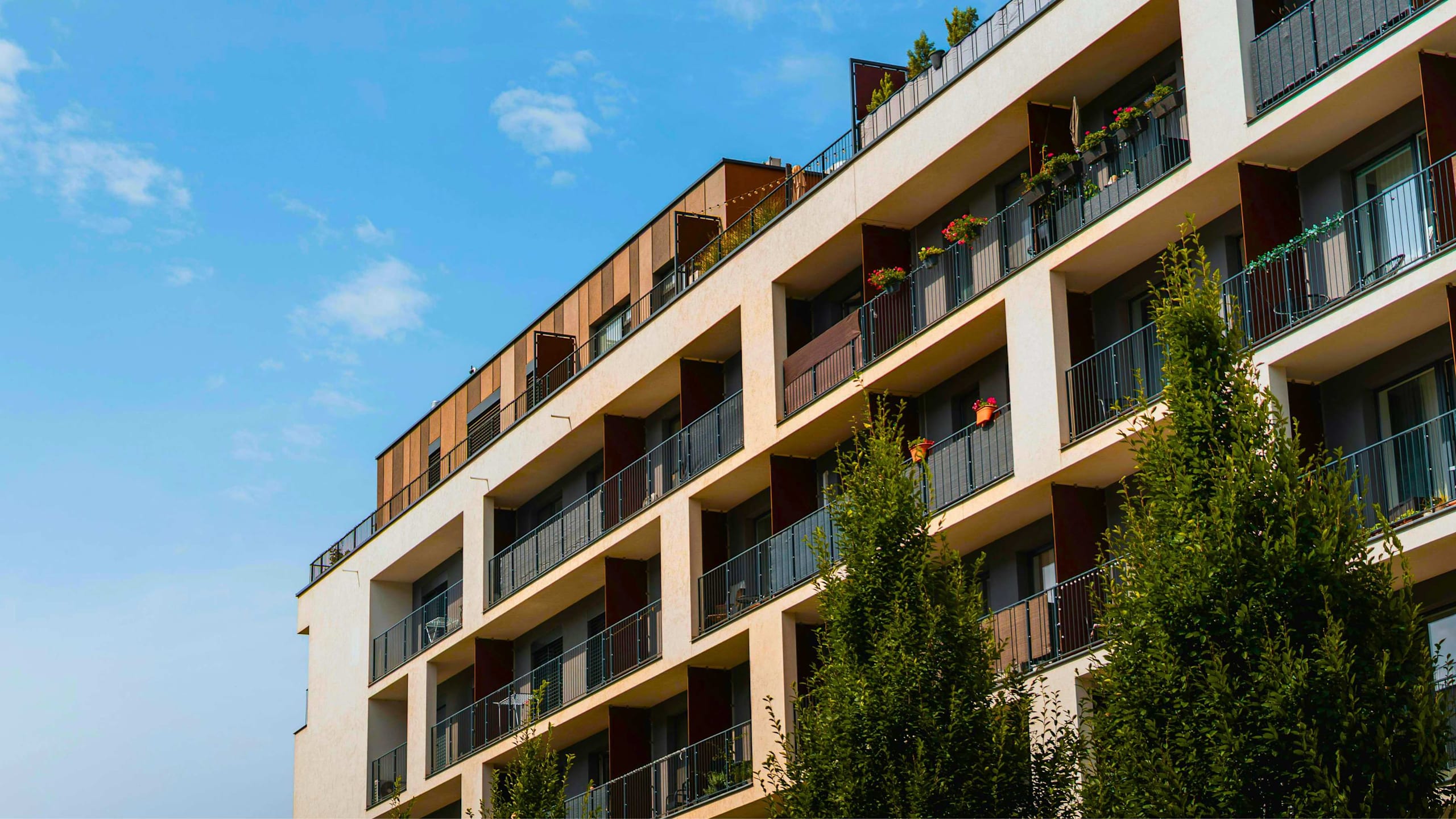 Downsizing Trends header image