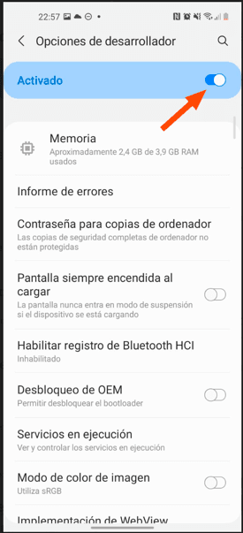 Menú opciones de desarrrollador en móvil android.