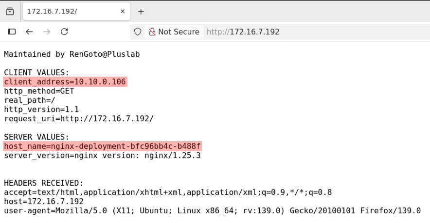 custom-nginx-access.png