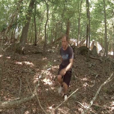 Forest Route (+POV)
