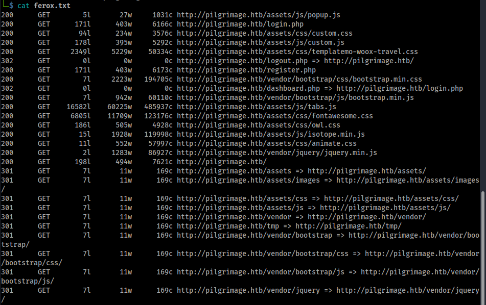 Feroxbuster directory fuzzing output of any results returning 200, 301, or 302 HTTP response codes.