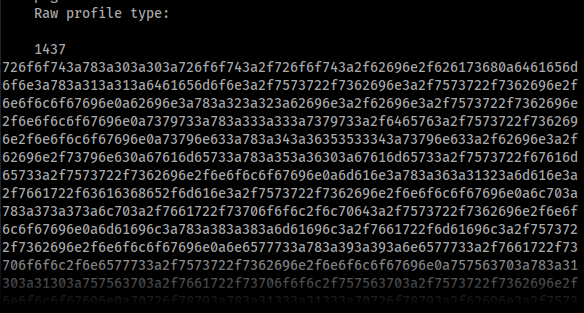 Screenshot of a snippet of the hex encoded output from the PNG payload after being shrunk by ImageMagick on the server.