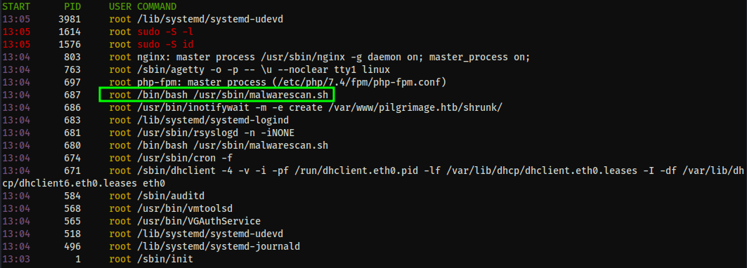 Screenshot of LinPEAS script output with a line from the root owned processes list highlighted with the file malwarescan.sh