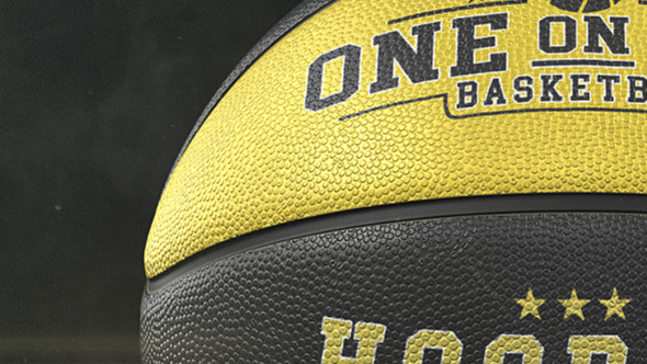 Basketball Logo - 26