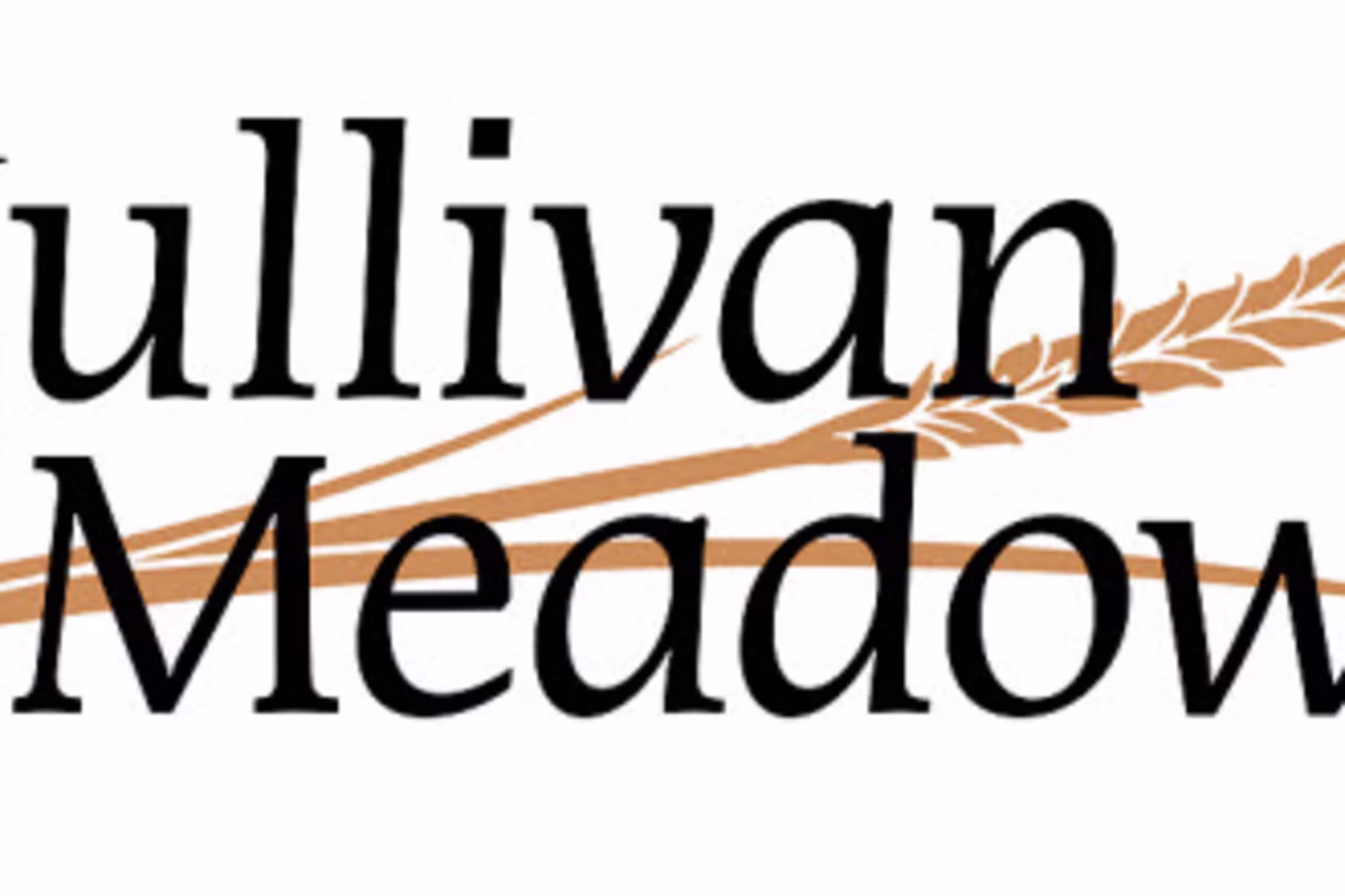 Thumbnail - Sullivan Meadows