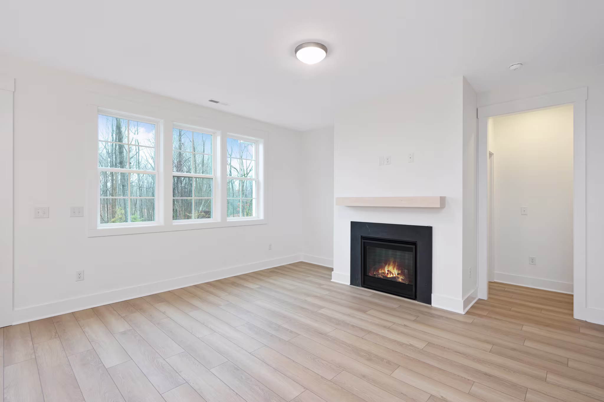Beau - Interior Photo 16
