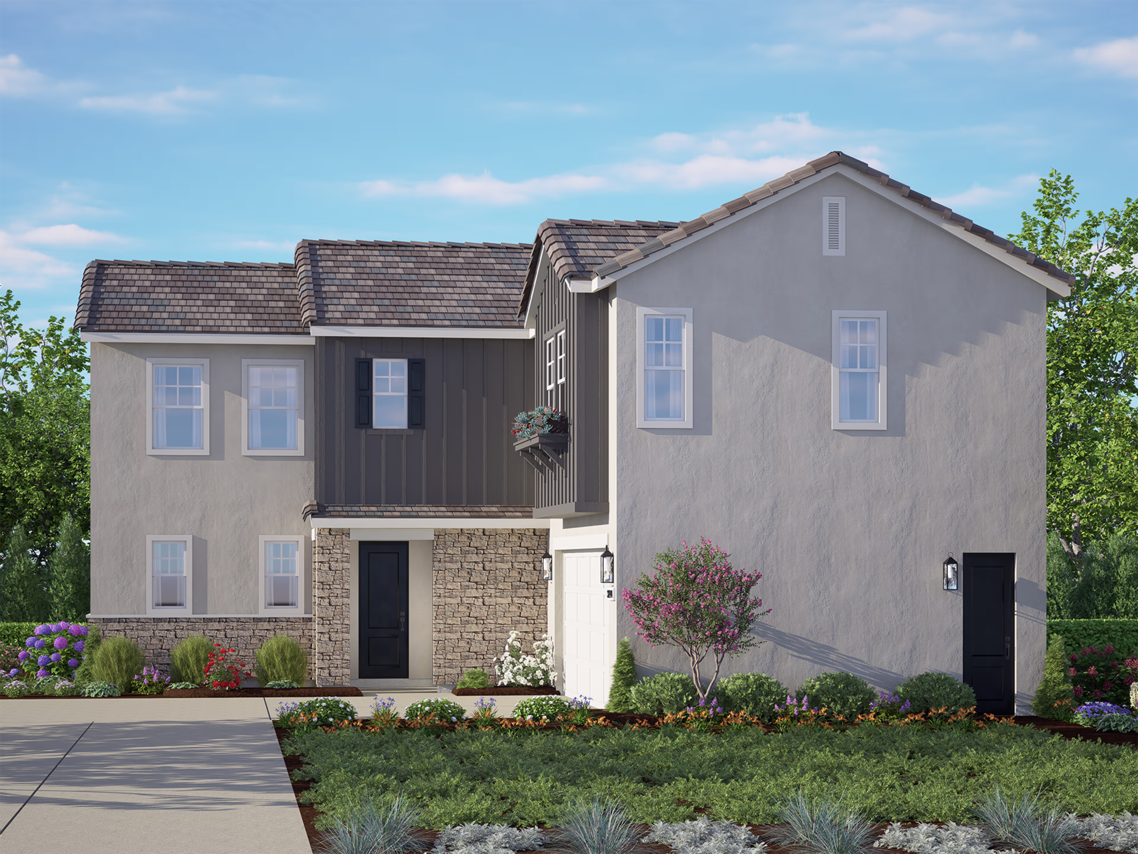 Elevation Image
