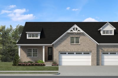 Elevation Image