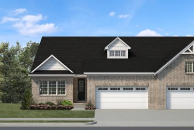 Elevation Image