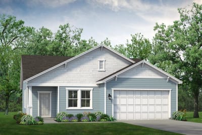The Camellia 551 Craftsman - Preview