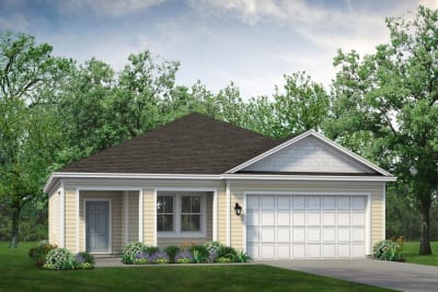 The Camellia 551 Coastal - Preview