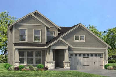 Carver Elevation III - Preview