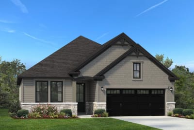 Andrews Elevation 2 - Preview