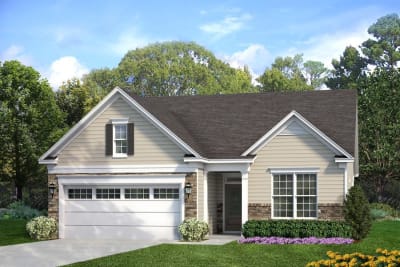Beechwood A Stone Left - Preview