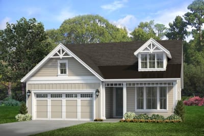 Beechwood BH Left - Preview