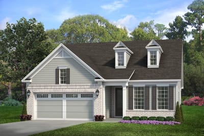Beechwood AB Left - Preview