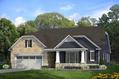 Hickory with Daylight Basement CS - Preview