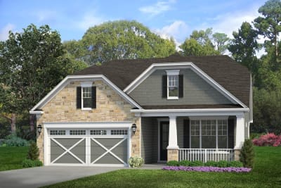 Beechwood CS Left - Preview