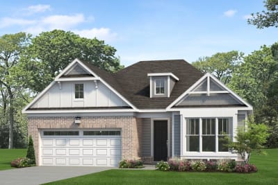 Devonshire Queen Anne - Preview