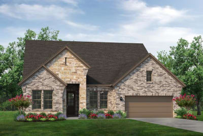 Bluebonnet D - Preview