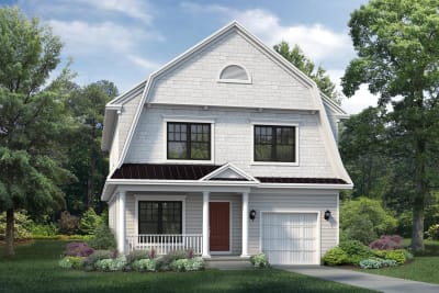 Elevation Image