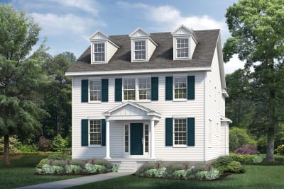 Elevation Image