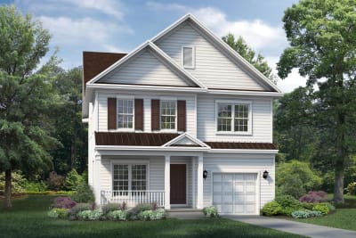 Elevation Image