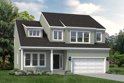 Elevation Image