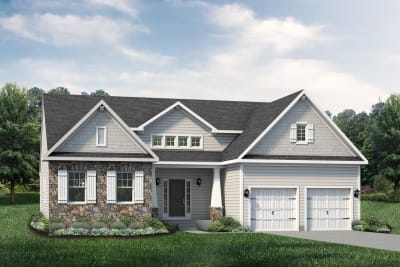 Elevation Image