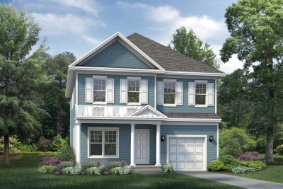 Elevation Image