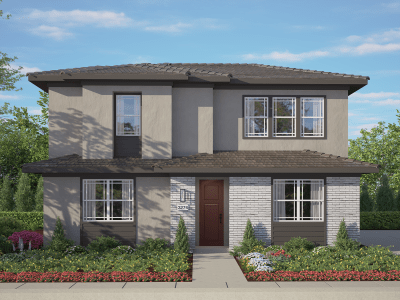 Elevation Image
