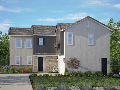 Elevation Image