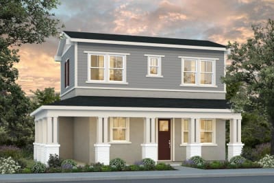 Elevation Image