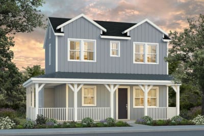 Elevation Image