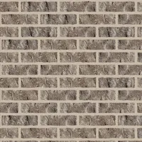 BrickCastle Rock Tudor With Light BuffStandard
