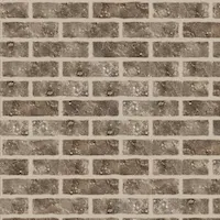 BrickNew Castle Gray With LightStandard
